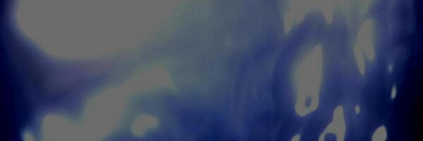 WormholeRiders Profile Banner