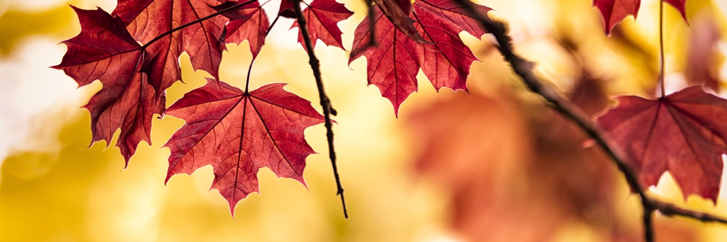 shilak112's profile banner image