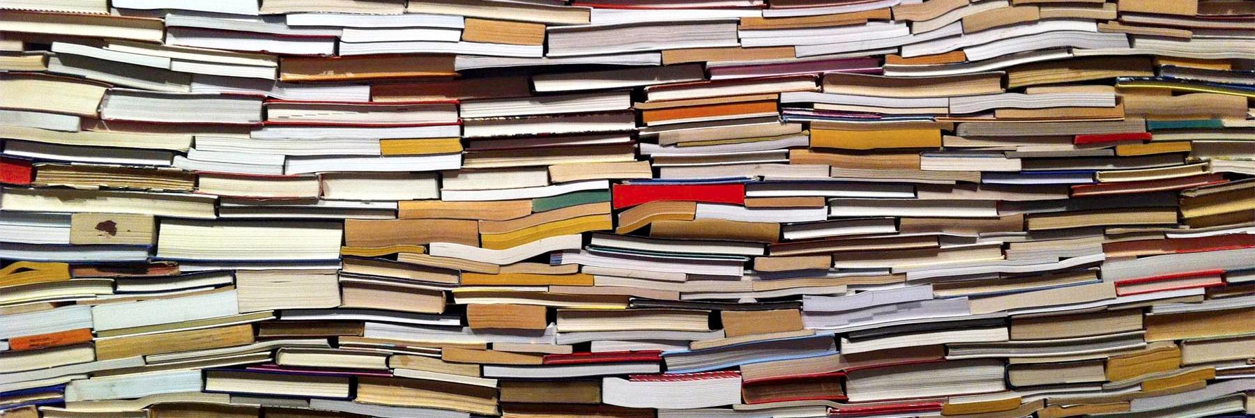 So Many Damn Books left the platform banner