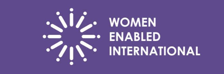 Women Enabled International banner