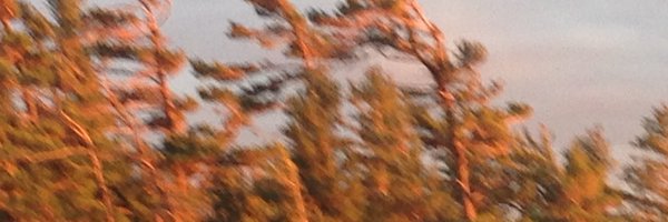 CGTomClark Profile Banner