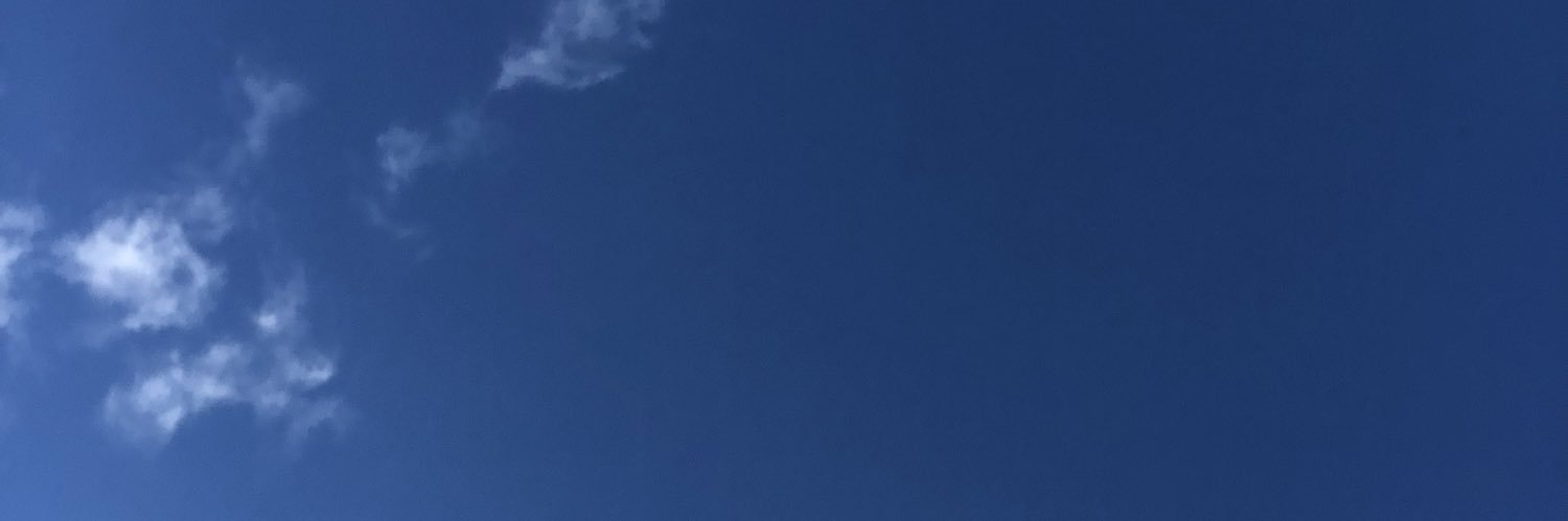 Lestruth's profile banner image