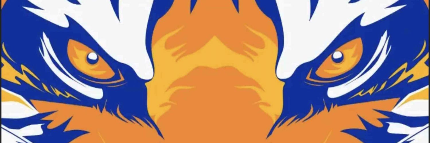 rodrigompalafox's profile banner image