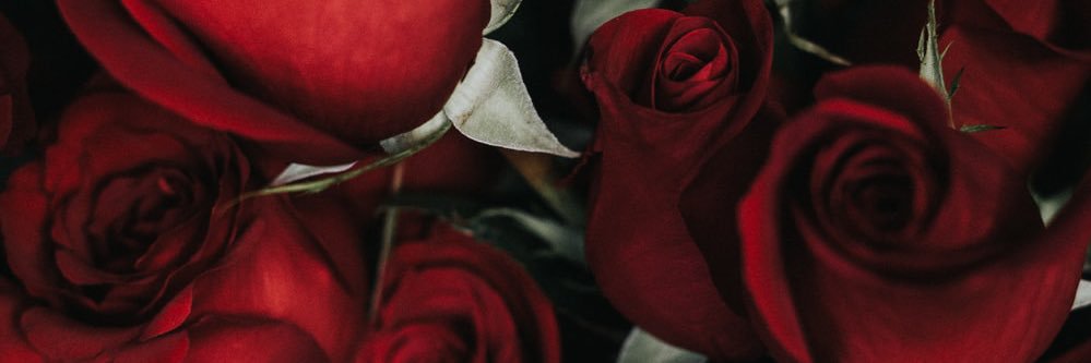 Kmanlig's profile banner image