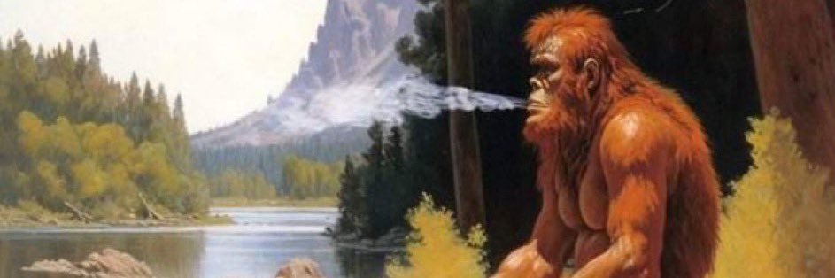 pedrogeneses's profile banner image