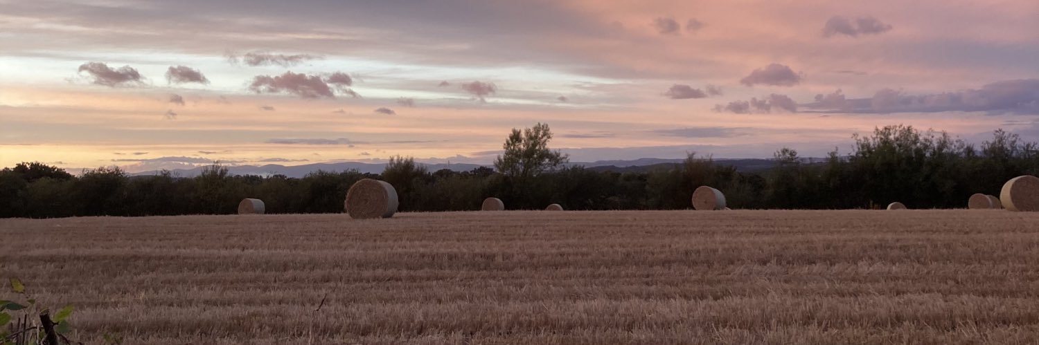 Edinlass's profile banner image