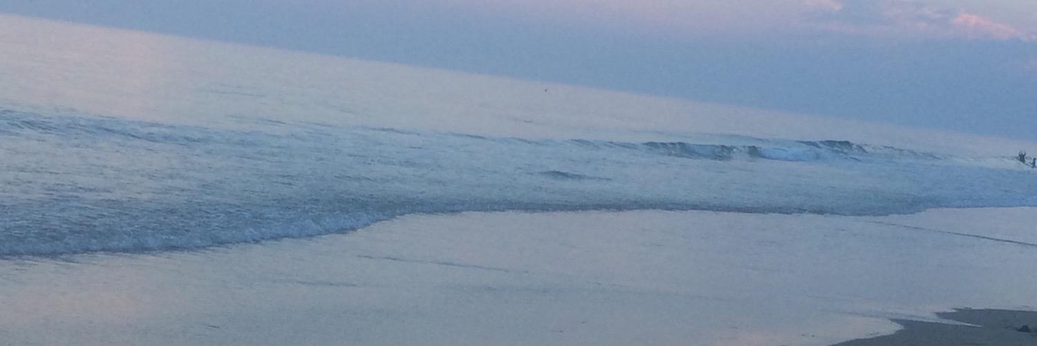gracelawson's profile banner image