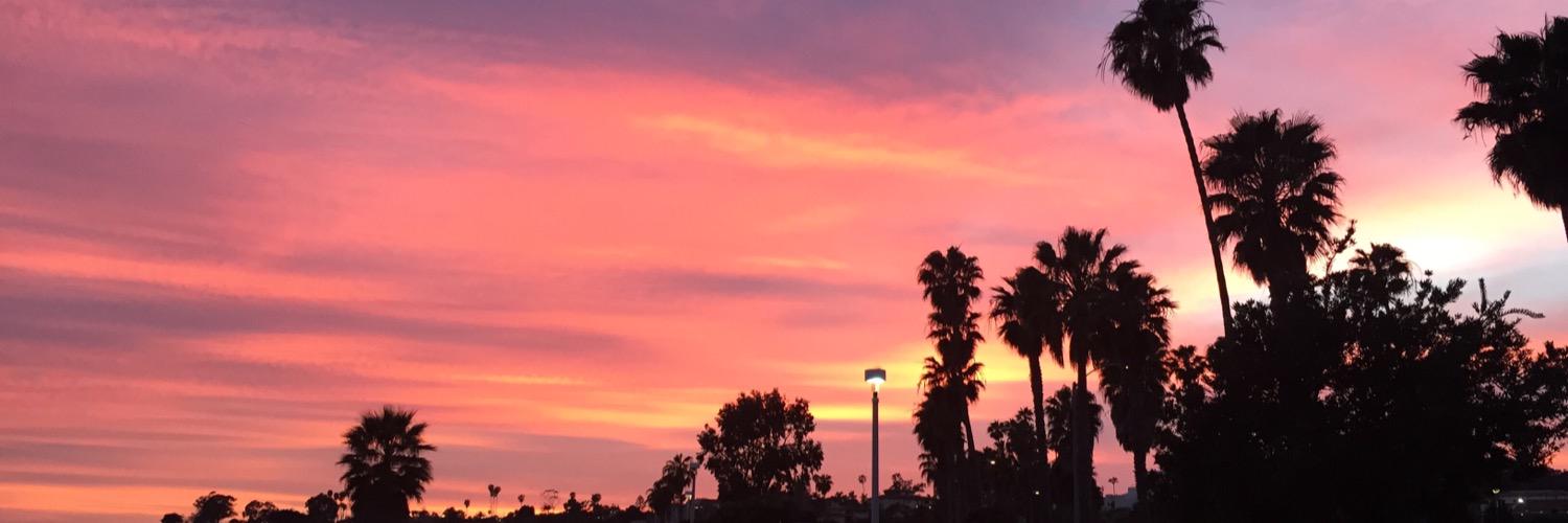 soflo31's profile banner image
