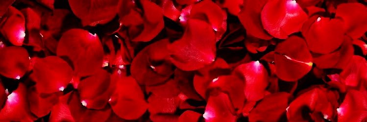 rxnic's profile banner image