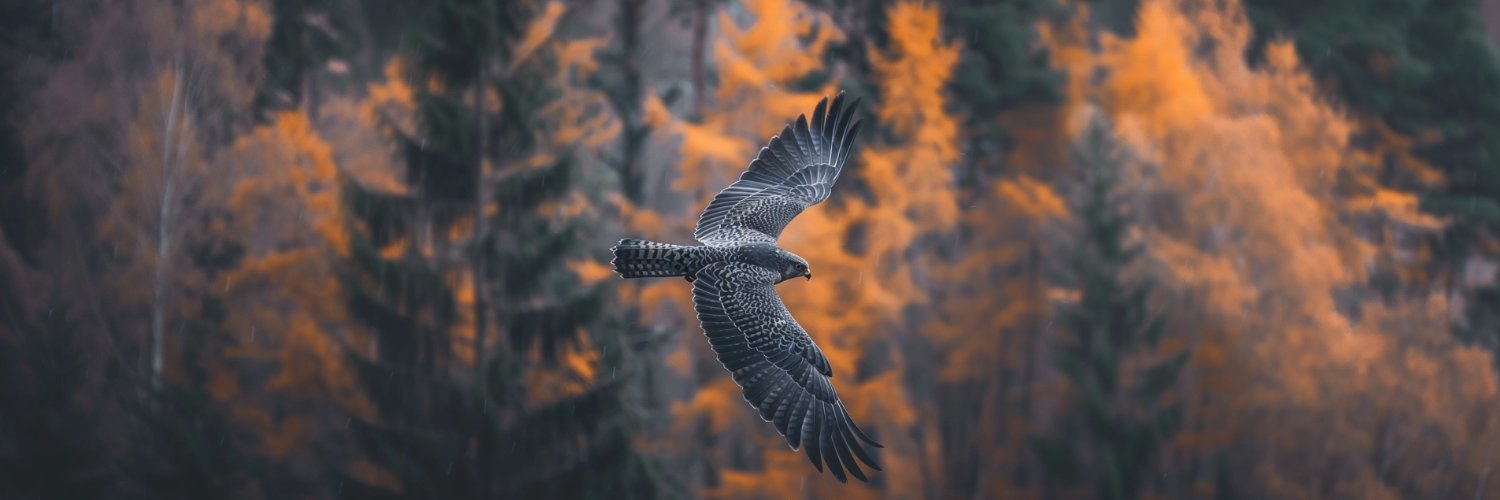 Landin McSorley banner