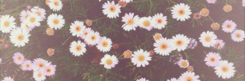 boobjoo's profile banner image