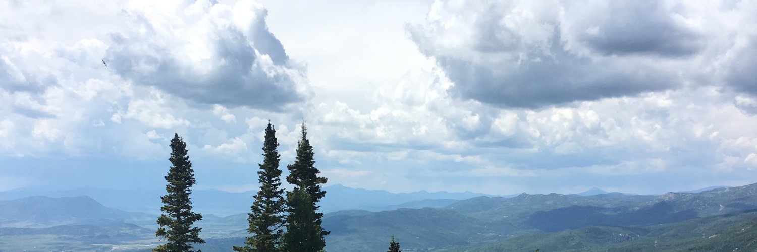 dbevly's profile banner image