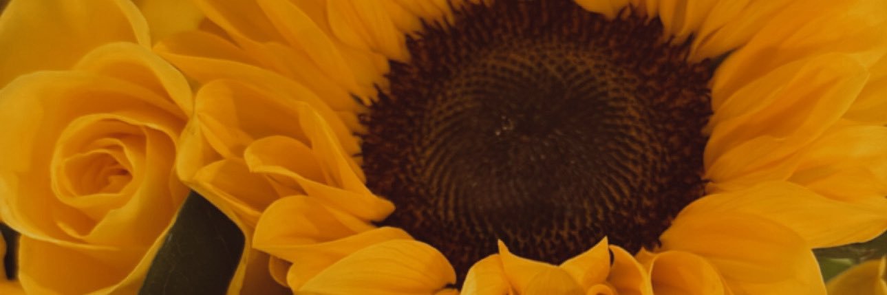 bauta_boom's profile banner image