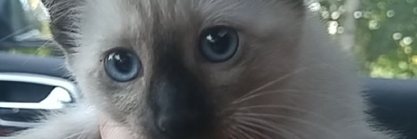 BraydenPoint19 Profile Banner