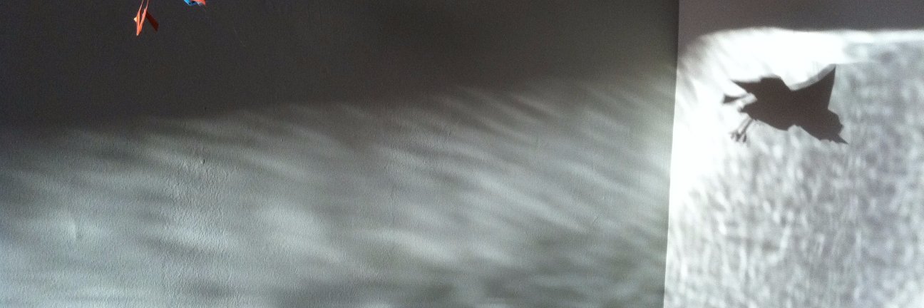 annaforr's profile banner image