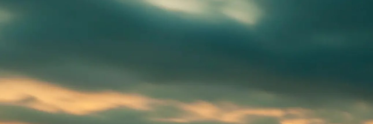 alisonkindredd's profile banner image