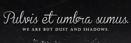 catchingCALM's profile banner image