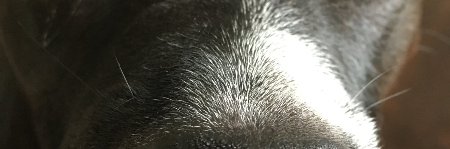 tuffyt28's profile banner image
