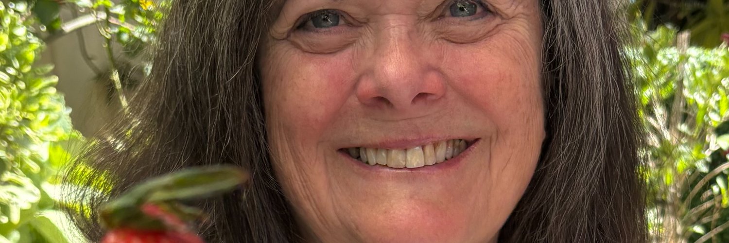 laughinEV's profile banner image