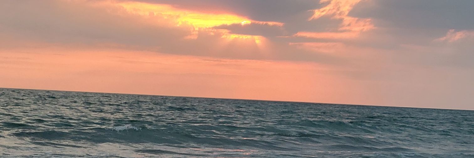 meliandreapava's profile banner image