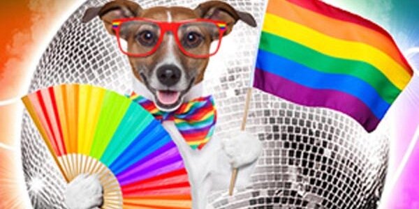 DogsTrustFC's profile banner image