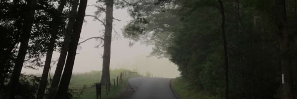 mandalbe's profile banner image