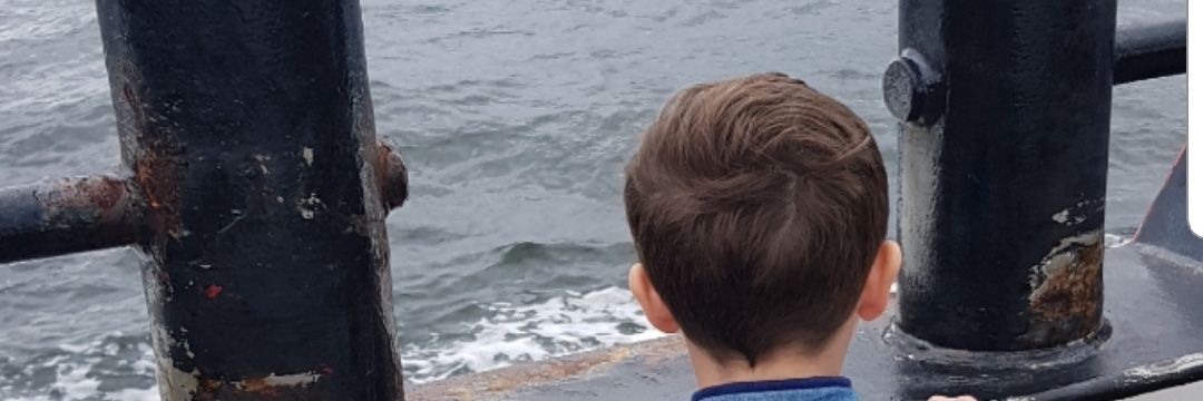 azaleen's profile banner image
