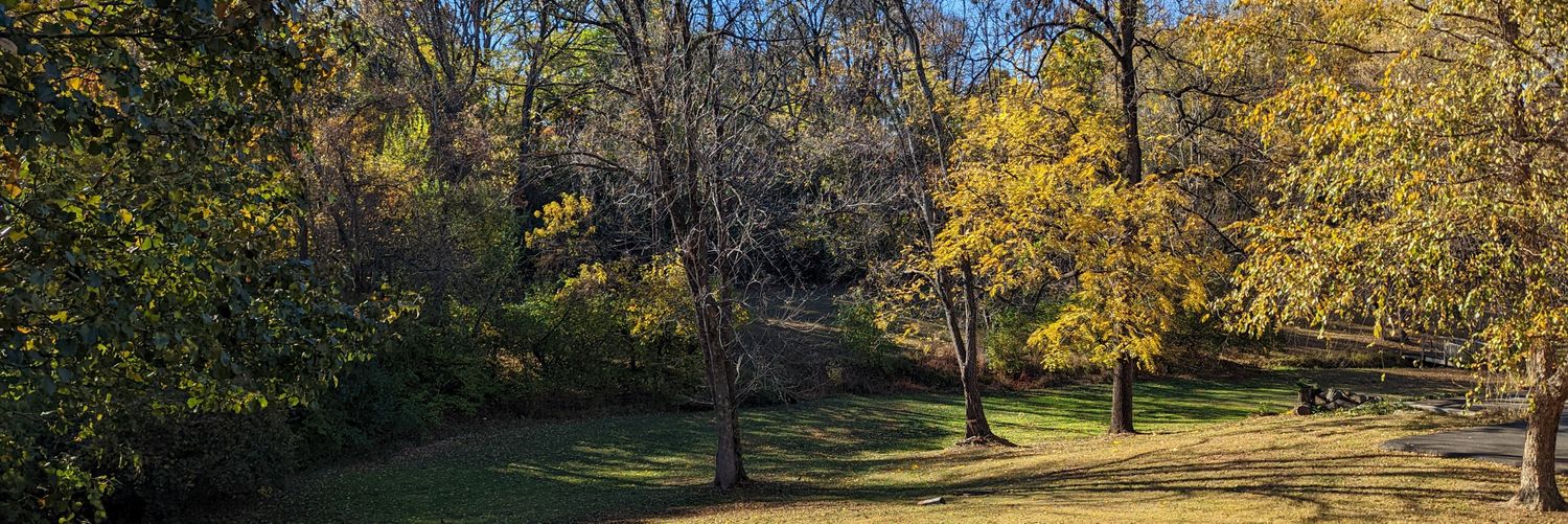 PuzzlerMike's profile banner image