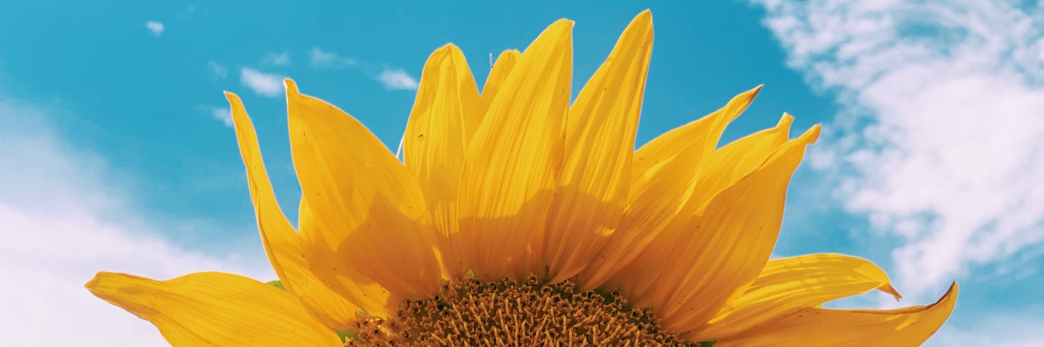 mmcelroy2000's profile banner image