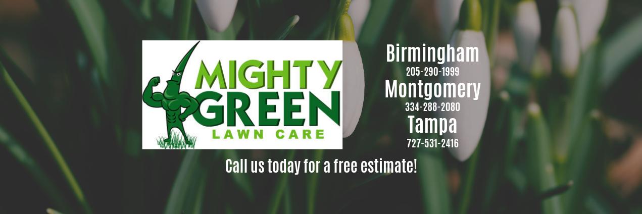 MightyGreenLawn's profile banner image