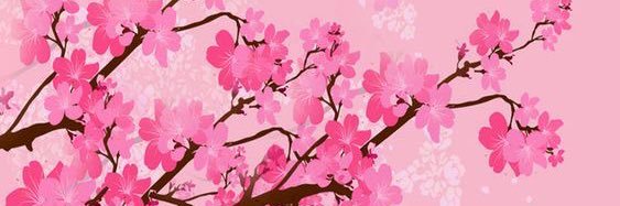 Bony Ezquerra B banner