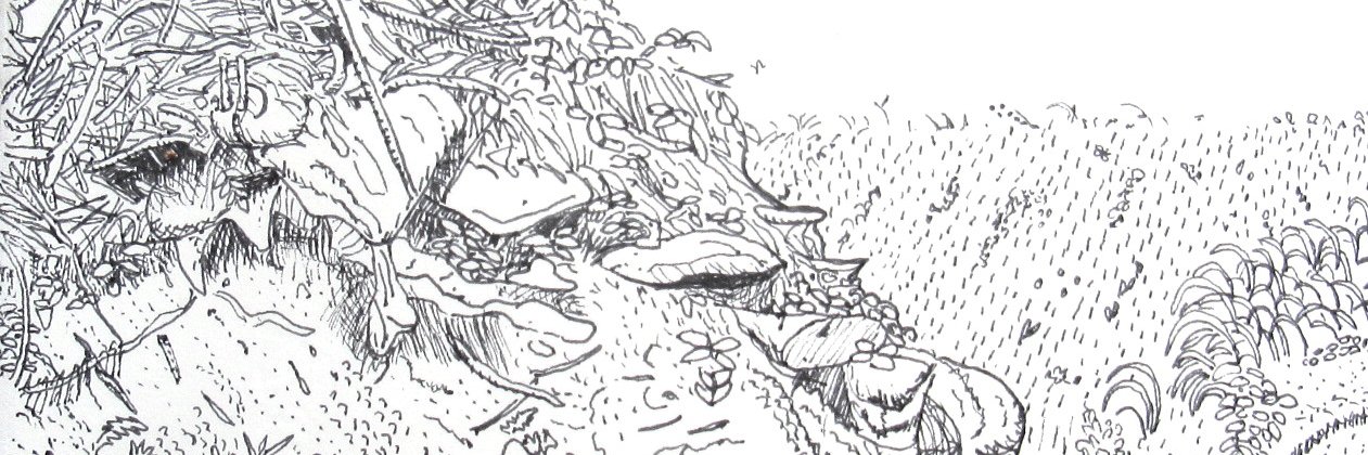JeffZenick's profile banner image