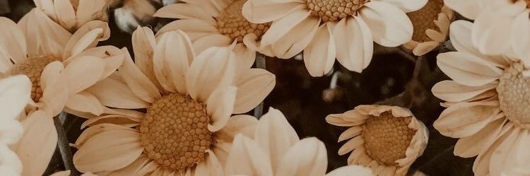 Flower 🌻 banner