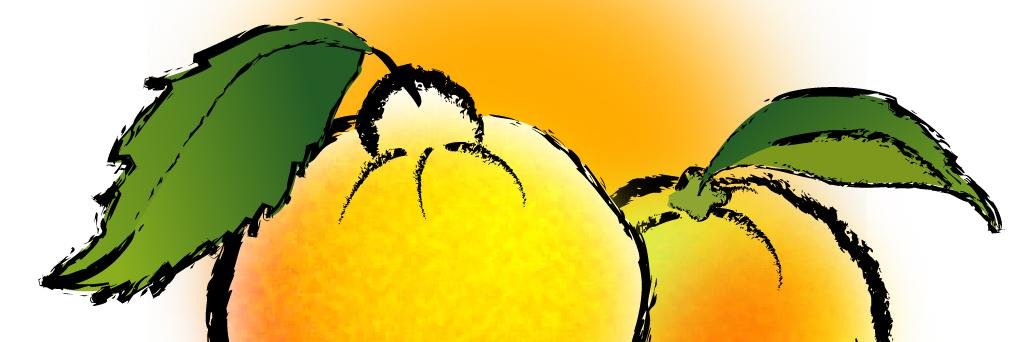 shimura_yuz's profile banner image