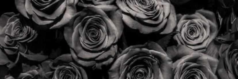Isabellynn___'s profile banner image