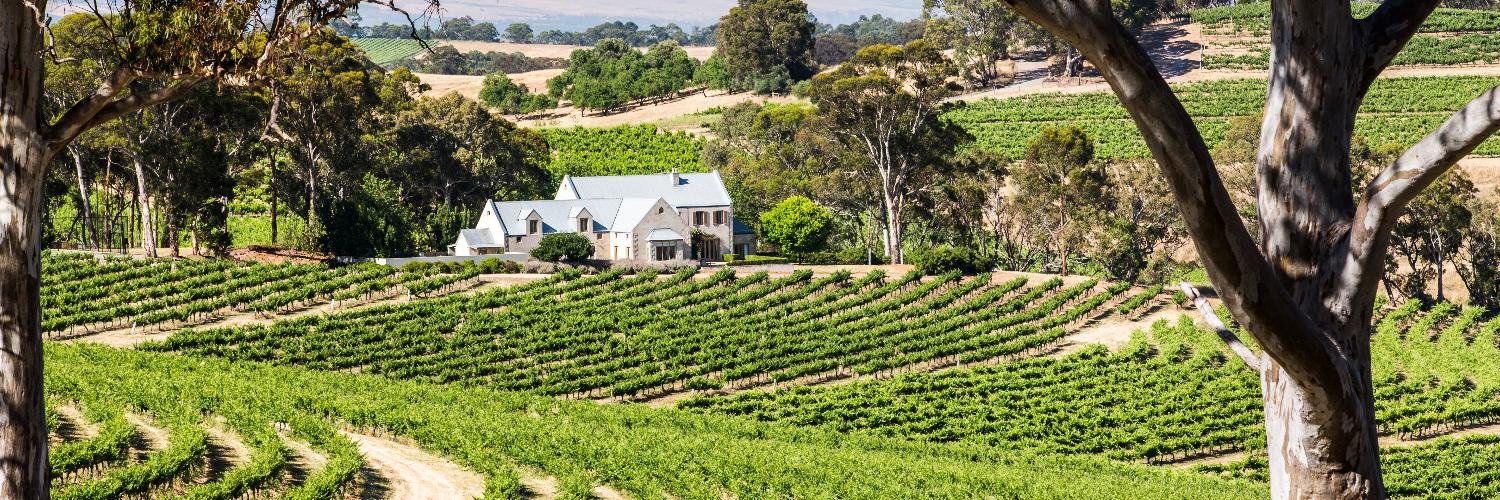 Hickinbotham Wines banner