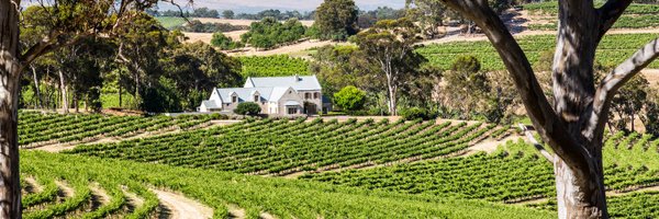 HCVwines Profile Banner