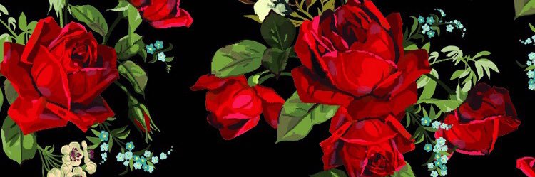 Seliners94's profile banner image