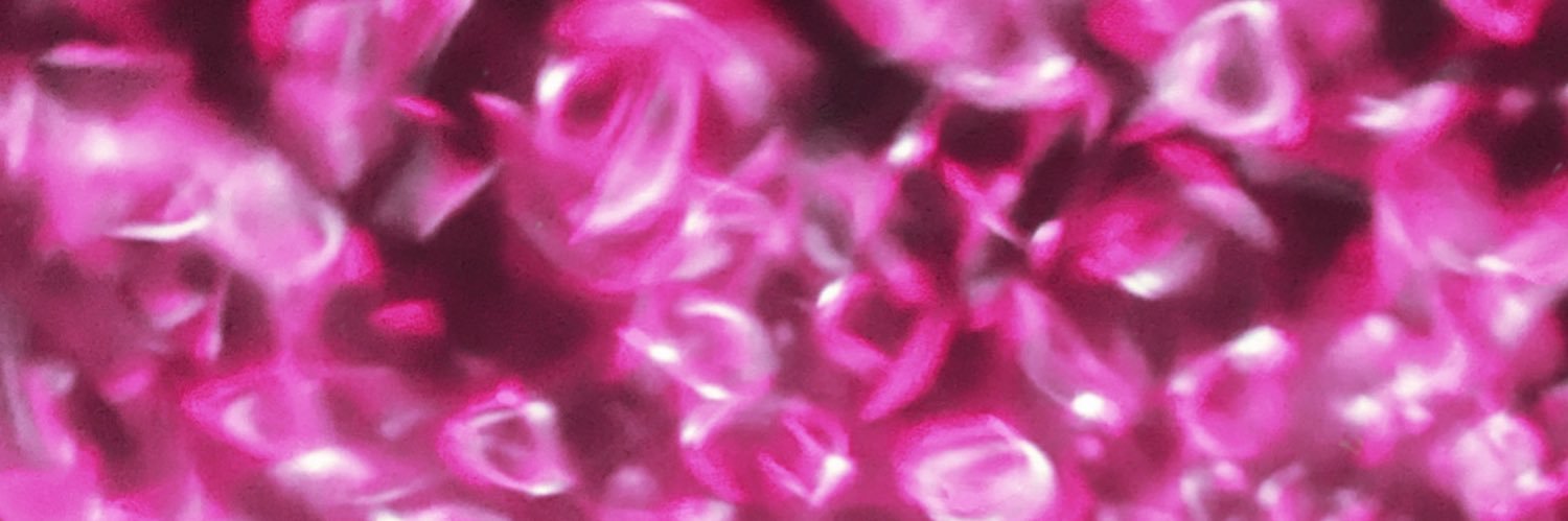 ozzrulezz's profile banner image