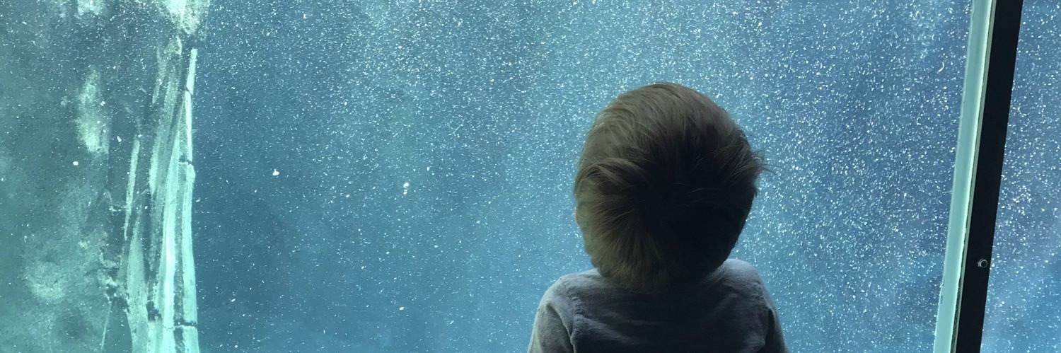 LordBrently's profile banner image