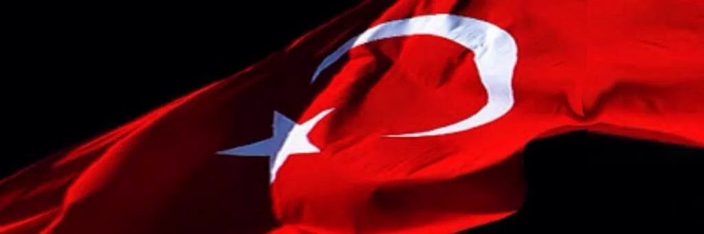 16_must's profile banner image