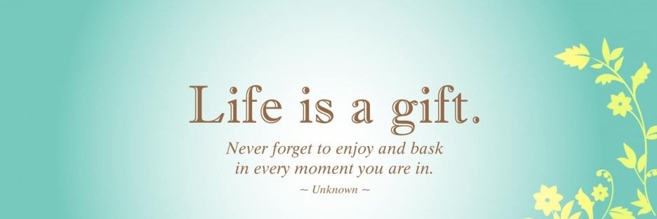 Lauren Sprowls banner