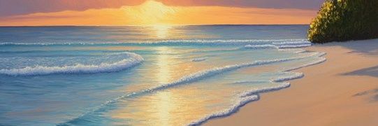 FPaez04's profile banner image