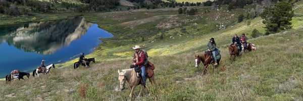 shanestott Profile Banner