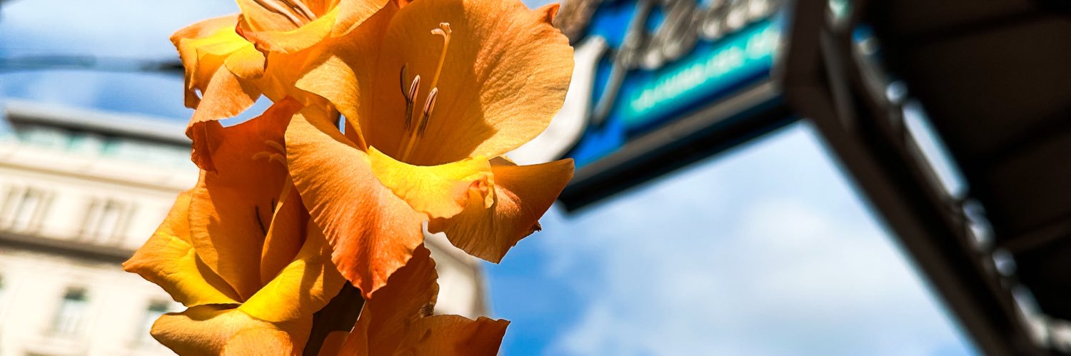 daliitudor's profile banner image