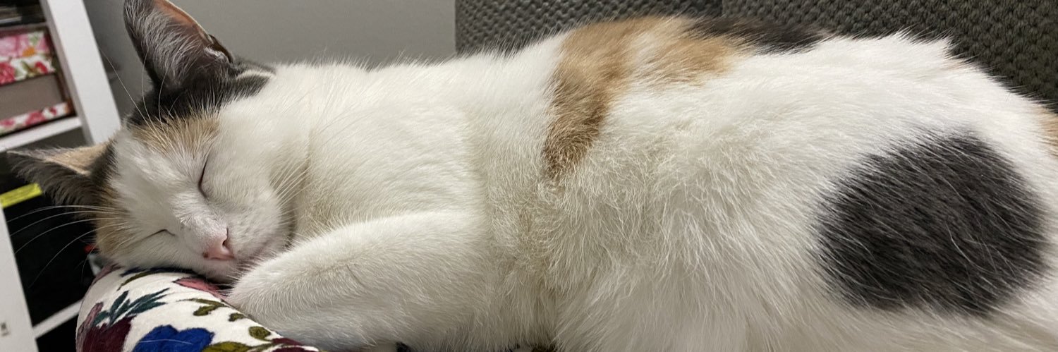 MaggieLoring97's profile banner image