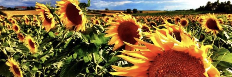 KenAndrewsEduc's profile banner image