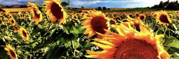 KenAndrewsEduc Profile Banner