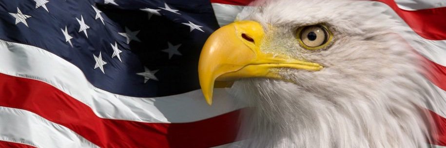 1truejoy's profile banner image