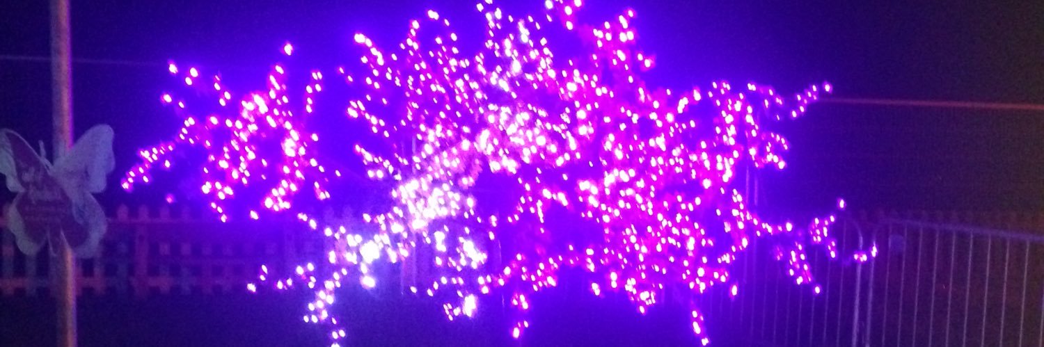 craziechic's profile banner image